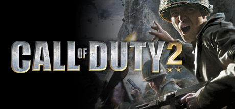 Call of Duty 2 sunucu kapak görseli
