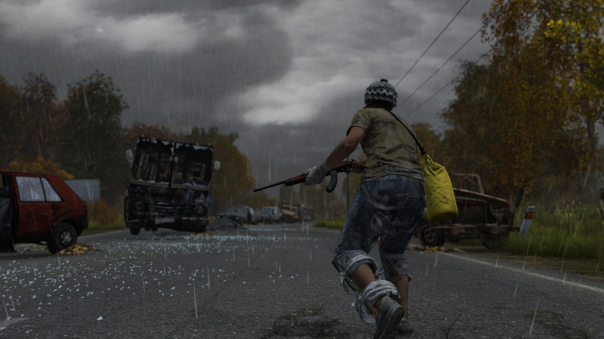 DayZ ekran görüntüsü 1