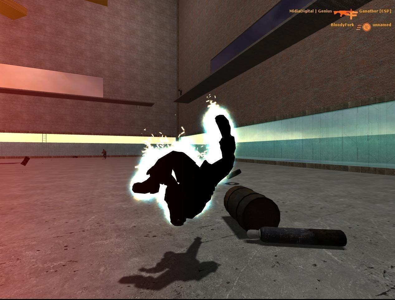 HL2 Deathmatch ekran görüntüsü 3
