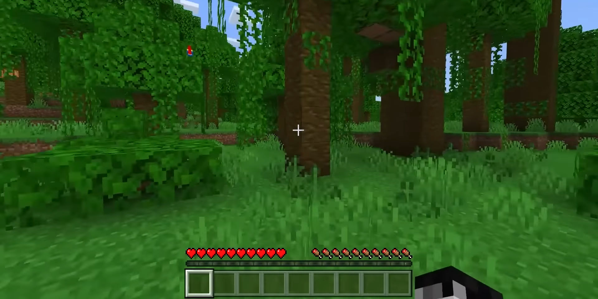 Minecraft ekran görüntüsü 1